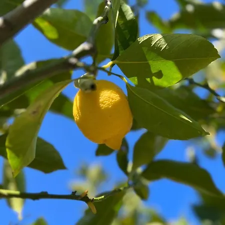 Bellalimone Calatabiano