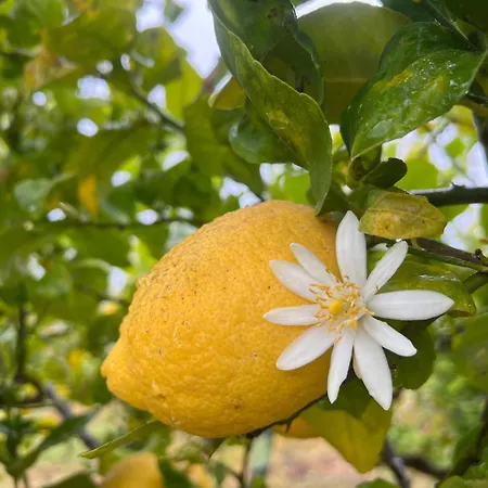 Bellalimone Calatabiano