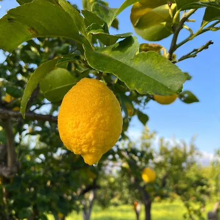 Bellalimone * Calatabiano