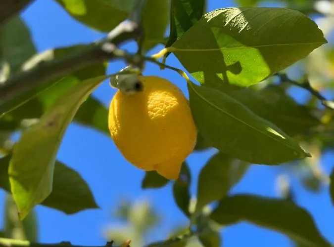 Bellalimone Calatabiano