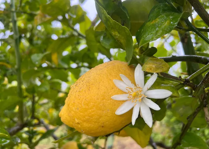 Bellalimone Calatabiano