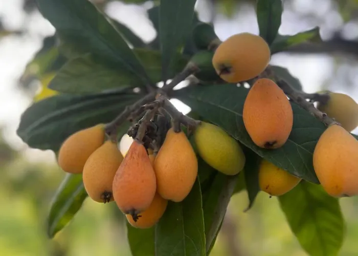 Bellalimone Calatabiano