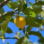 Bellalimone Calatabiano