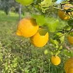 Domek alpejski Bellalimone Calatabiano