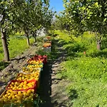 Domek alpejski Bellalimone Calatabiano