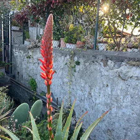 Alpehytte Bellalimone Calatabiano