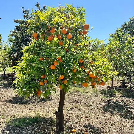 Bellalimone * Calatabiano