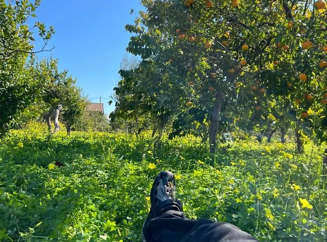 Шале Bellalimone *